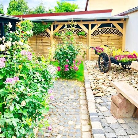 Ferienwohnungen Grimma 3 Zewnętrze zdjęcie