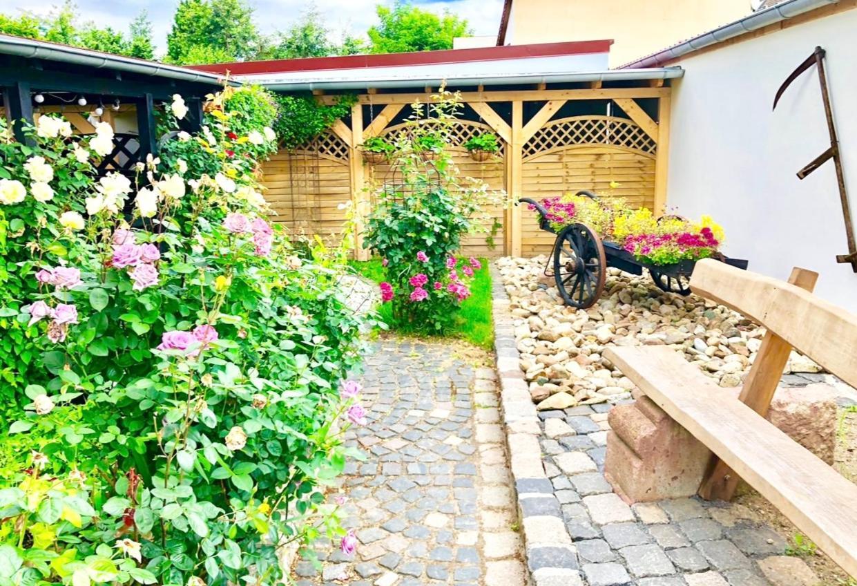 Ferienwohnungen Grimma 3 Zewnętrze zdjęcie